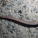 축항펜션 이미지