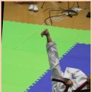 경희대최강태권도장 네이버블로그