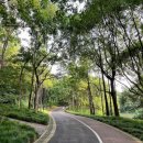 성지약국 이미지