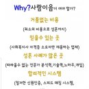 사람이음결혼정보 네이버블로그