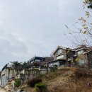 루체루나펜션 | 221124 [강원도] 가족펜션 독채펜션 루체루나 후기