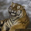 호흡과명상 이미지