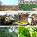 소백환경 이미지