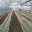 가은농장 이미지