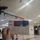 헤어스토리 지 | 롯데월드 어드벤처 메이플스토리 후기/롯데월드 메이플스토리 굿즈 달팽이헤어핀/잠실 롯데월드 데이트