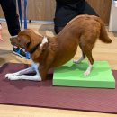 소노캄 고양 휘트니스 이미지