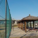 송도 달빛공원 달빛풋살장 이미지