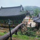 삼호교 화장실 이미지