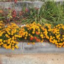 생극보건지소 이미지