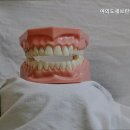 세브란스이치과의원 이미지