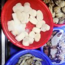 부평조개창고 | 🐚🔥 조개부터 고기까지 무한리필의 끝판왕! 인천 부평 ‘조개창고’ 솔직후기 🔥🐚