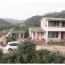 백운천계곡 이미지