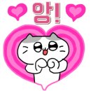 썬앤티클 이미지