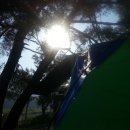 거창-위천-5 이미지