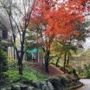 가을이 오면 눈부신 수채화 이미지