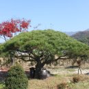 샘물농장 이미지