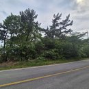 조은날부동산공인중개사사무소 이미지