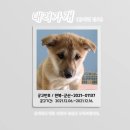 군산시-01137 네이버블로그