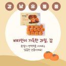 강남유통 | 강남유통몰 실속형 꼬마 반건시 명절선물 간식 추천 | 가격·맛·식감· 보관방법 솔직후기