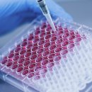 라온셀의원 이미지