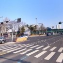 시내도로 | 신도림 자동차 운전 전문학원 시내 도로 연수 후기 (1일차 ~ 5일차)