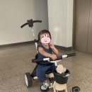 삼천리 샘트라이크 물려받아 뽕뽑은 후기