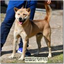 까치농장 이미지