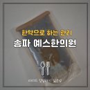 송파 예스한의원 식단과 병행하는 솔직 감량후기
