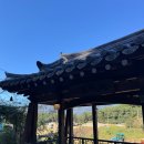 다루야 | 통도사한식 맛집 약식동원 다루야 방문 후기 – 자연식삼계탕