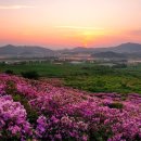 남원목장 이미지