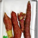 하모마을 이미지