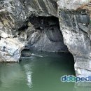 스님+며느리+강아지 이미지