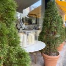 소향로253번길 이미지