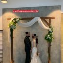 스튜디오캐노피 이미지