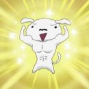 파랑키스 이미지