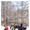 태백산 - 김포시 양곡3로1번길 26-5 | 태백산