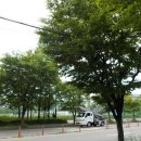 정왕체육공원1 이미지