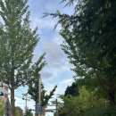 촉석초 앞 이미지