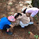 오음초병설유치원 이미지