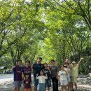 금방아 민박 캠핑장 이미지