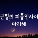 피플인사이트 네이버블로그