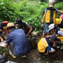 초등학교 환경동아리에 다녀왔습니다 이미지