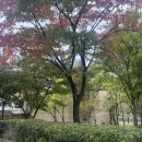 박진희약국 이미지