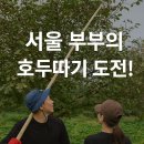 도호농장 이미지