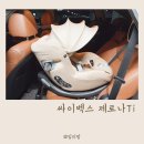 선배맘 신생아카시트 추천 목꺾임 없는 싸이벡스 제로나Ti 9개월 아기 사용 후기