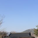 머문하녹 이미지