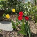 심재집농장 | 초록초록 4월 일상💚