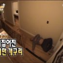 닭발돼지요 이미지