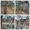 오대산 자연명상마을 옴뷔 방문후기 1일차 [마음챙김여행/명상체험/OMV]