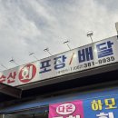 광주 서구 맛집 회폭탄 물회 맛집 다온수산